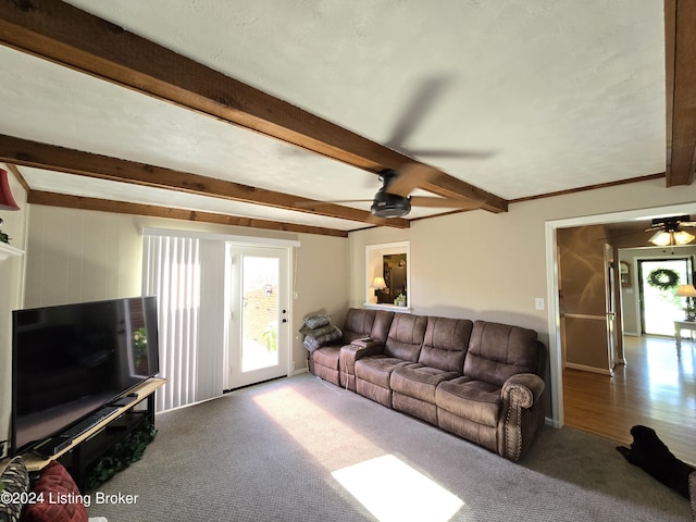 carpeted living room with a ceiling fan and beamed ceiling