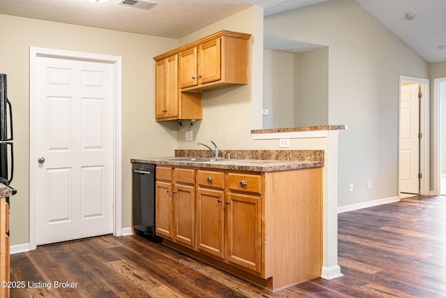 10202 Deer Vista Dr Unit 202, Louisville, KY 40291 - kitchen with black dishwasher, a sink, dark wood-type flooring, baseboards, and vaulted ceiling