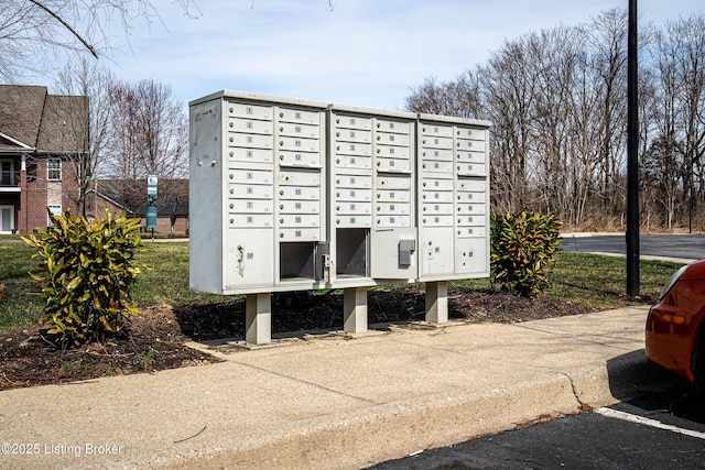 10202 Deer Vista Dr Unit 202, Louisville, KY 40291 - view of property's community with mail area