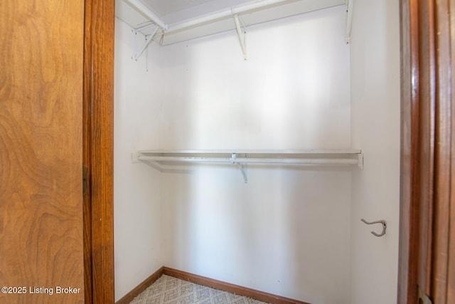 walk in closet with carpet flooring