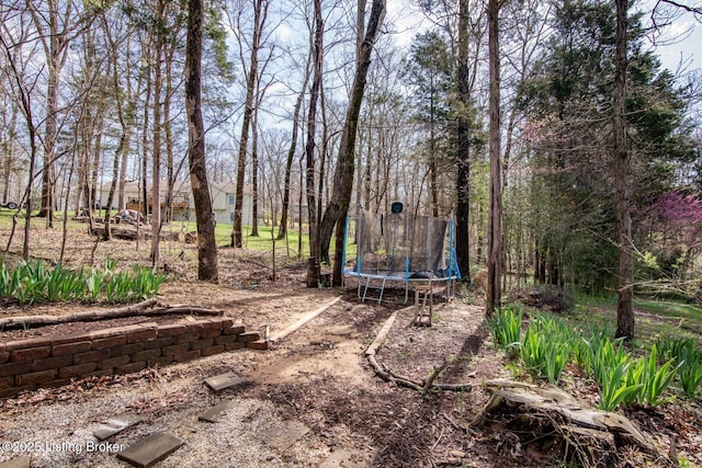 view of yard featuring a trampoline