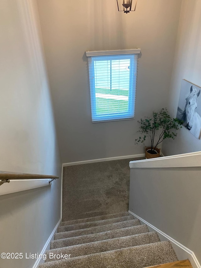 stairway featuring baseboards and carpet
