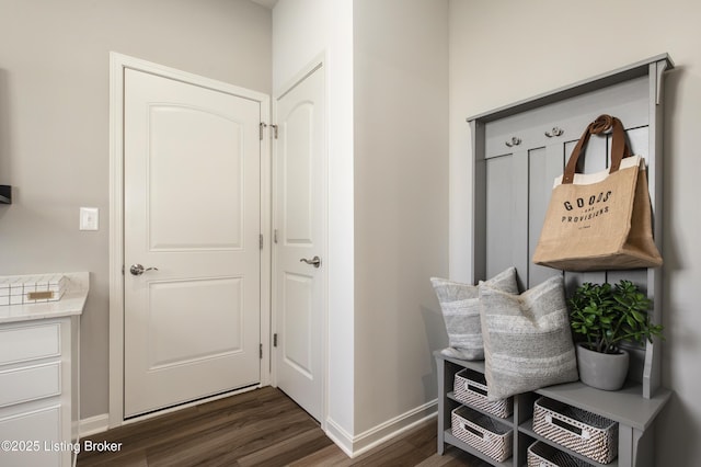 LOT209 Cobblestone Ln, La Grange, KY 40031 - mudroom with baseboards and dark wood-style floors
