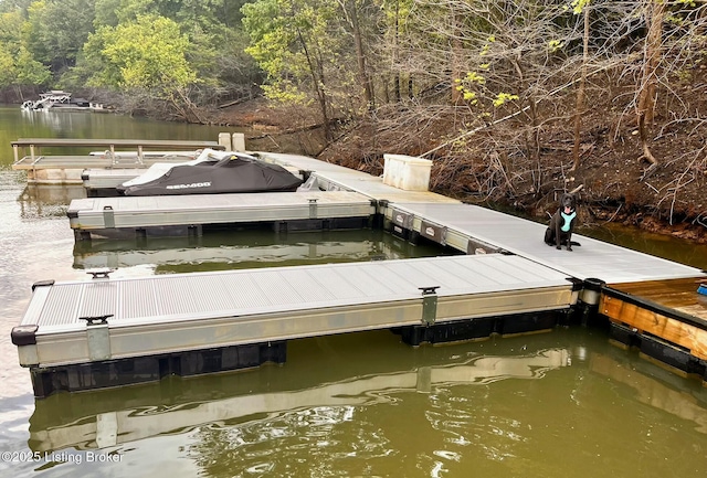 180 Moutardier Woods Way, Leitchfield, KY 42754 - dock area with a water view