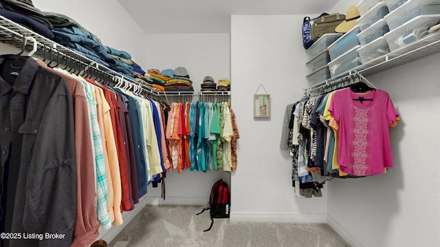 walk in closet with carpet flooring