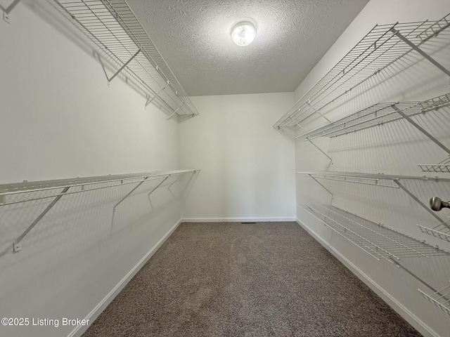 walk in closet with carpet