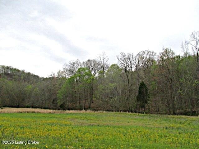 LOT38 Sulphur Lick Rd, New Hope, KY 40052 - photo 1