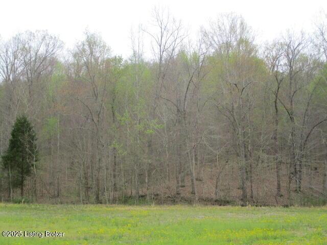 LOT38 Sulphur Lick Rd, New Hope, KY 40052 - photo 2