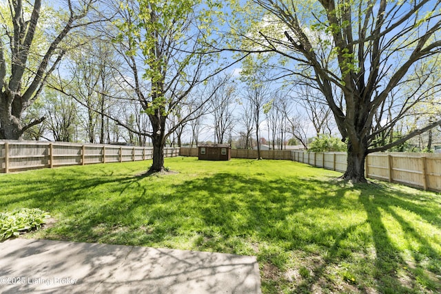 view of yard featuring a fenced backyard, an outdoor structure, and a storage unit