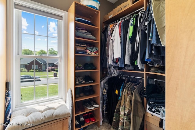 view of walk in closet