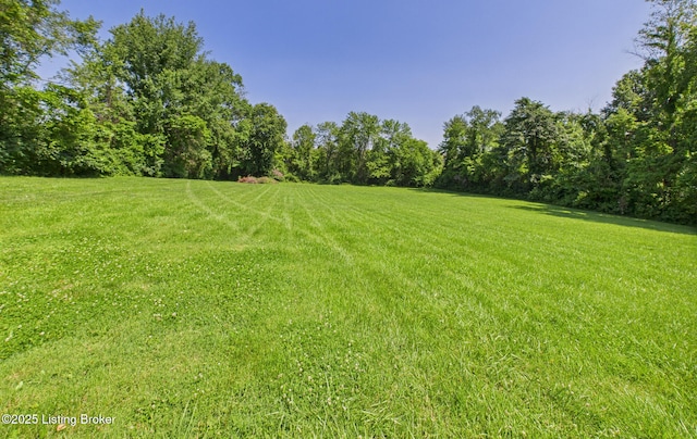 7803 E Manslick Rd, Louisville, KY 40228 - photo 10