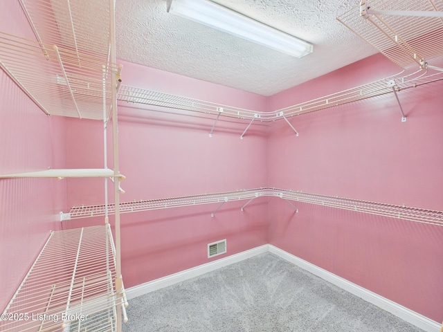 7803 E Manslick Rd, Louisville, KY 40228 - photo 32