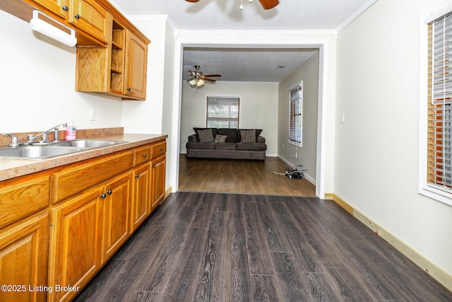 kitchen featuring dark wood-style flooring, ceiling fan, a sink, and open shelves