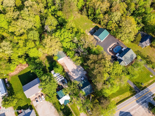 bird's eye view