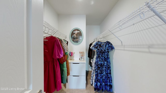 walk in closet with carpet flooring
