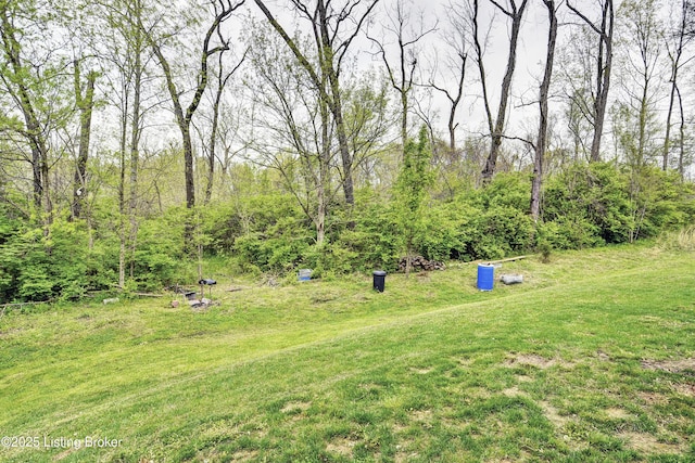 6701 Chestnut View Ct, Louisville, KY 40229 - photo 49