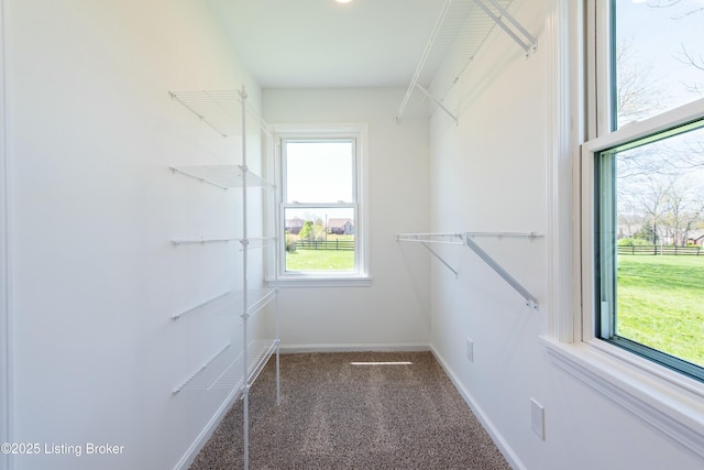 9004 Old Bardstown Rd Rd, Louisville, KY 40291 - spacious closet with carpet flooring