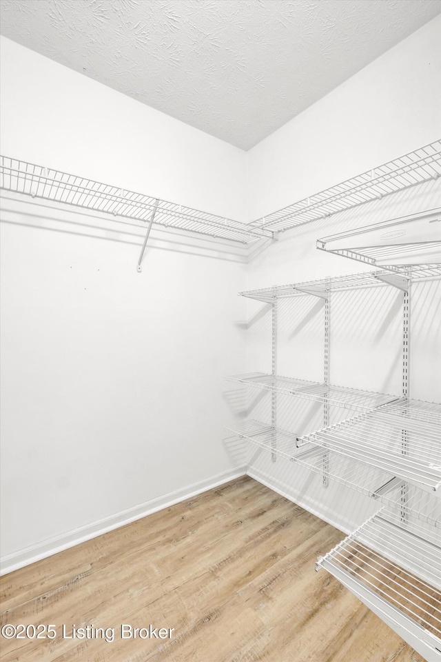 walk in closet with light wood-style floors