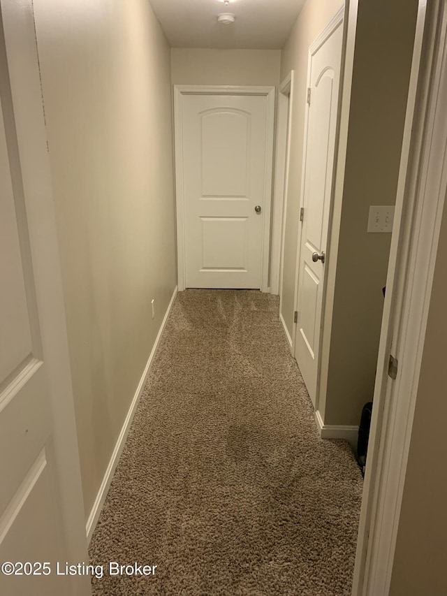 1015 E Muhammad Ali Blvd, Louisville, KY 40204 - hallway with carpet and baseboards