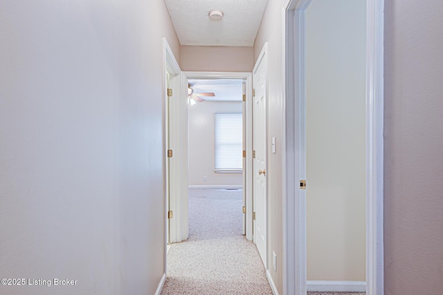 12305 Dominion Way, Louisville, KY 40299 - hallway with baseboards, carpet flooring, and a textured ceiling