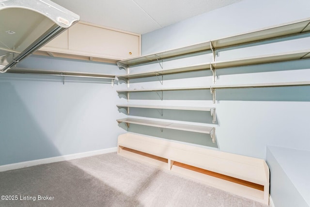 5100 US Highway 42 Unit 226, Louisville, KY 40241 - walk in closet with carpet flooring