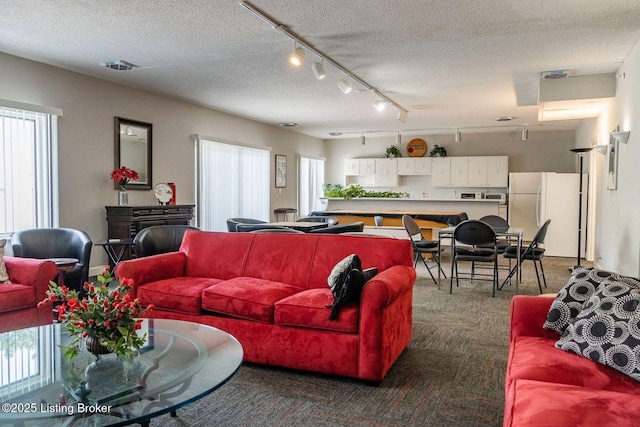 5100 US Highway 42 Unit 226, Louisville, KY 40241 - living area featuring healthy amount of natural light, dark colored carpet, a textured ceiling, and track lighting