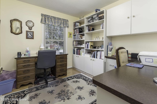 office space featuring light wood finished floors