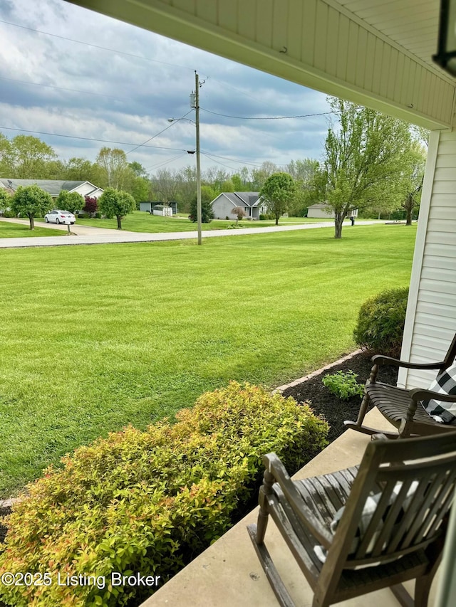 view of yard