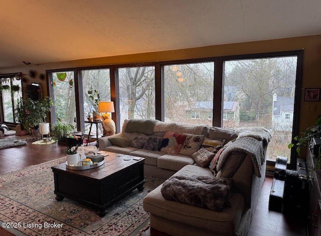 living room featuring wood finished floors