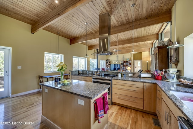 kitchen with a peninsula, beam ceiling, stainless steel appliances, and light wood finished floors