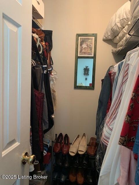 325 Rosewood Dr, Louisville, KY 40223 - view of walk in closet