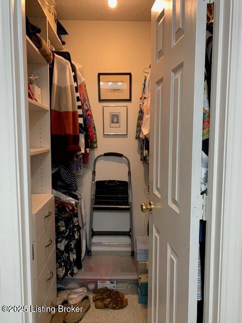 325 Rosewood Dr, Louisville, KY 40223 - view of walk in closet