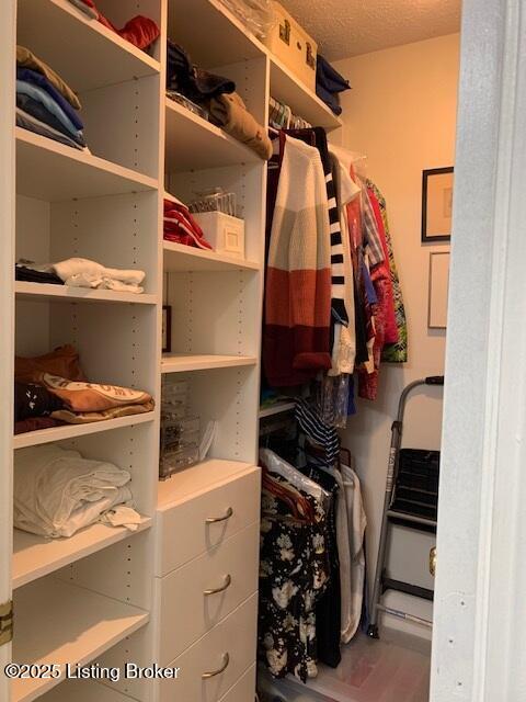 325 Rosewood Dr, Louisville, KY 40223 - view of walk in closet