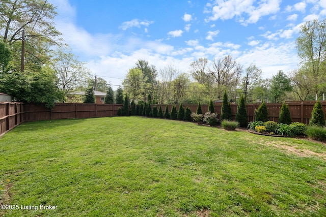 view of yard featuring a fenced backyard