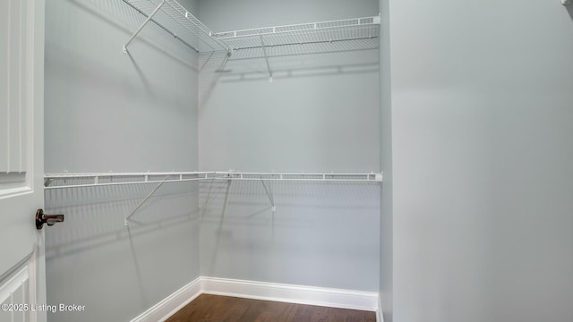 spacious closet featuring dark wood-style floors