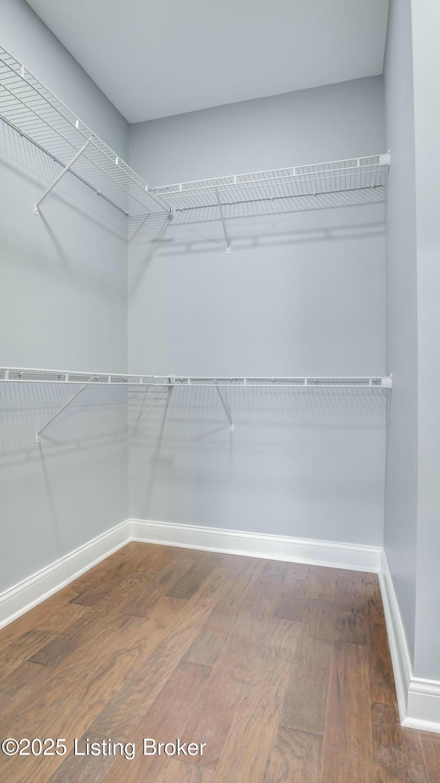 walk in closet featuring wood finished floors