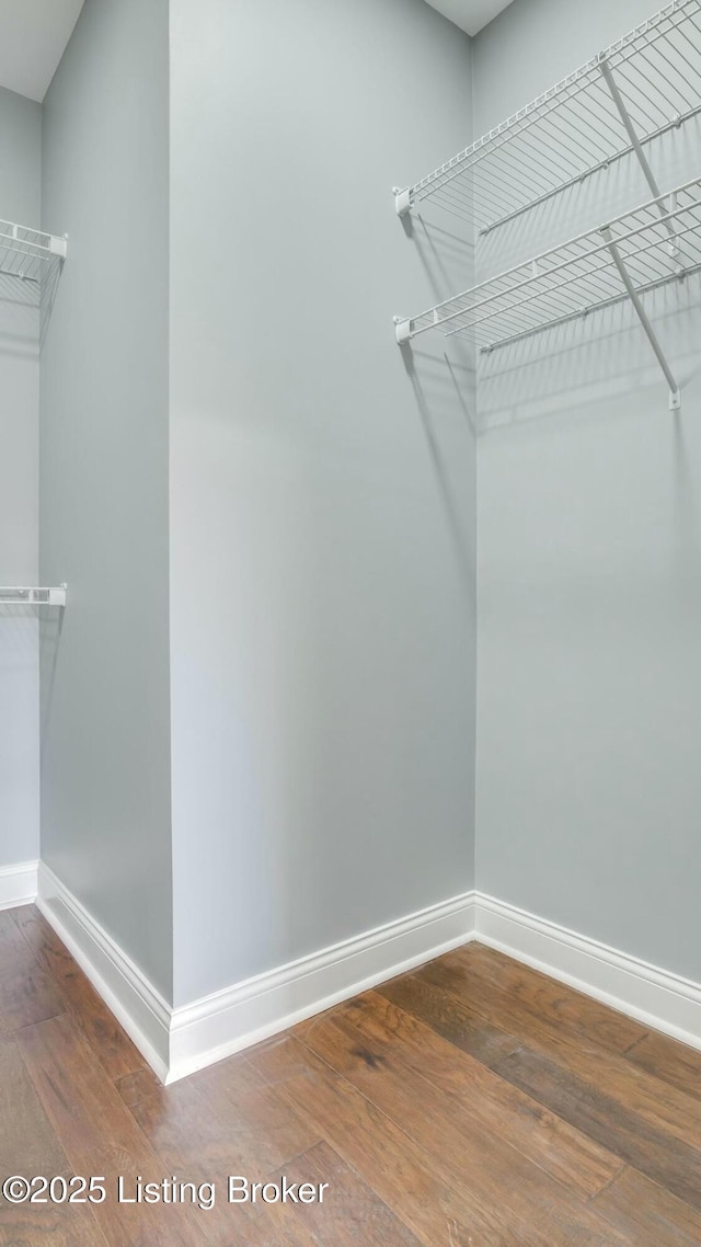 spacious closet featuring hardwood / wood-style flooring