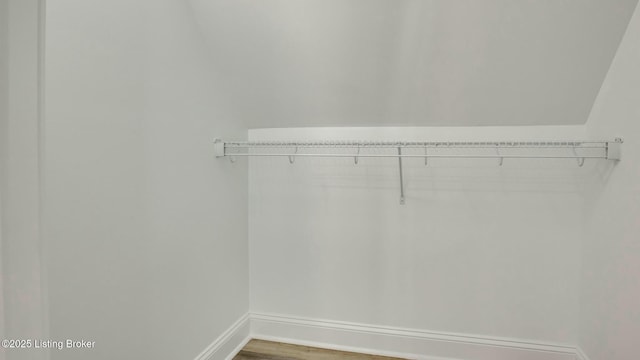 walk in closet featuring wood finished floors