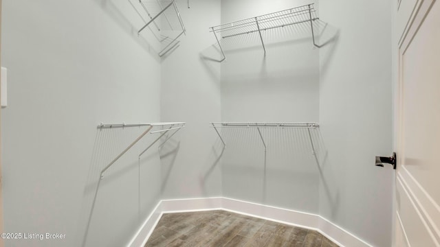 walk in closet featuring wood finished floors
