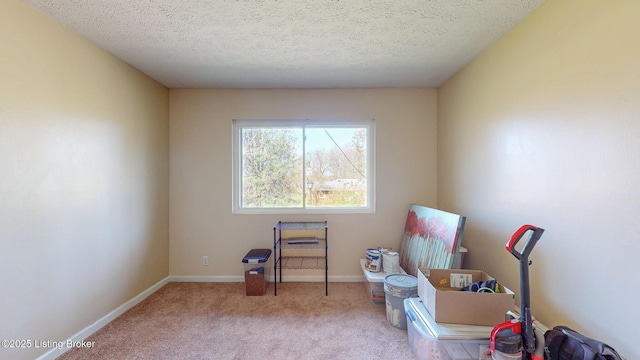 misc room featuring baseboards, carpet flooring, and a textured ceiling