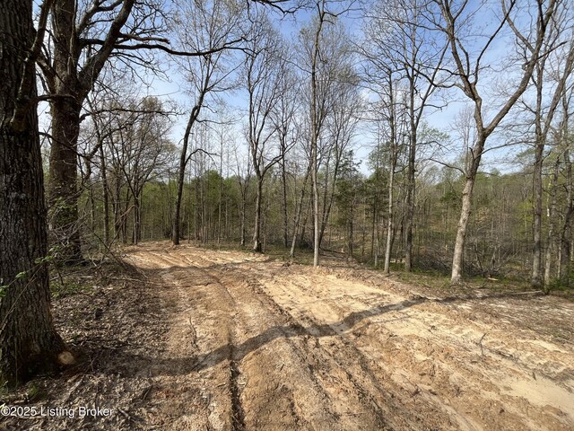 0 Gaddie Cottrell Rd, Bonnieville, KY 42713