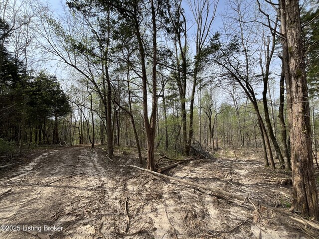 0 Gaddie Cottrell Rd, Bonnieville, KY 42713