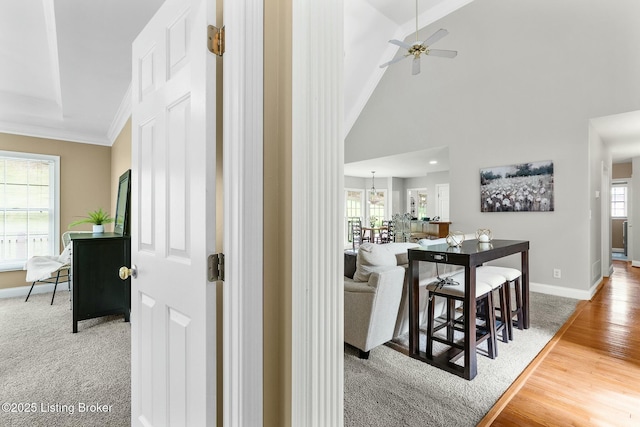 hall with a high ceiling, wood finished floors, and baseboards