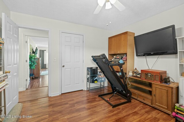 office space with a ceiling fan and light wood-style floors