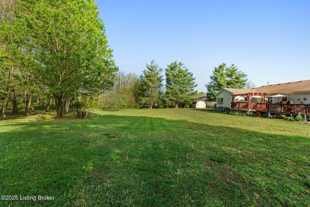 view of yard with a deck, an outdoor structure, and a shed