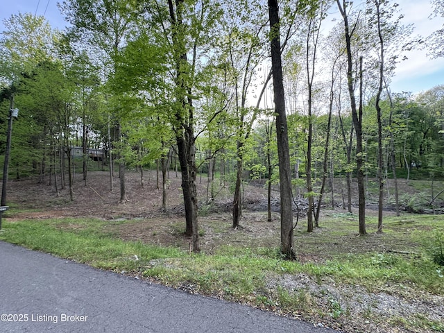 LOT44A Walleye Way, Scottsville, KY 42164