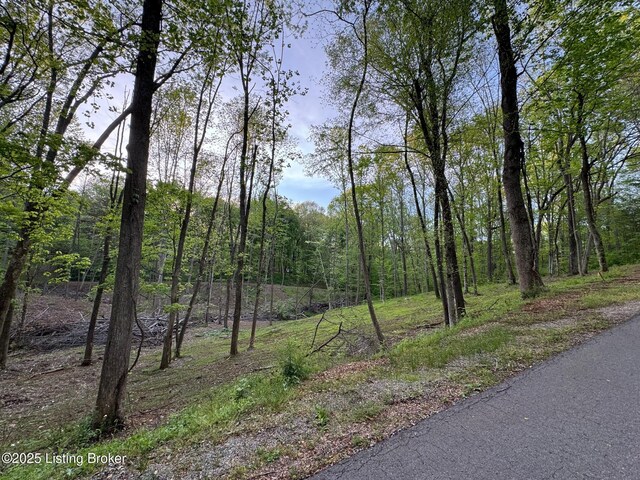 LOT44A Walleye Way, Scottsville, KY 42164