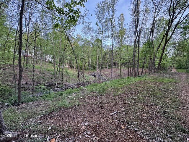 LOT44A Walleye Way, Scottsville, KY 42164