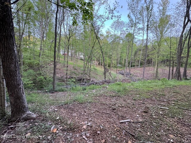 LOT44A Walleye Way, Scottsville, KY 42164