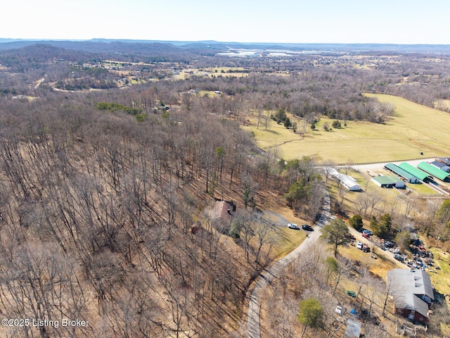 drone / aerial view
